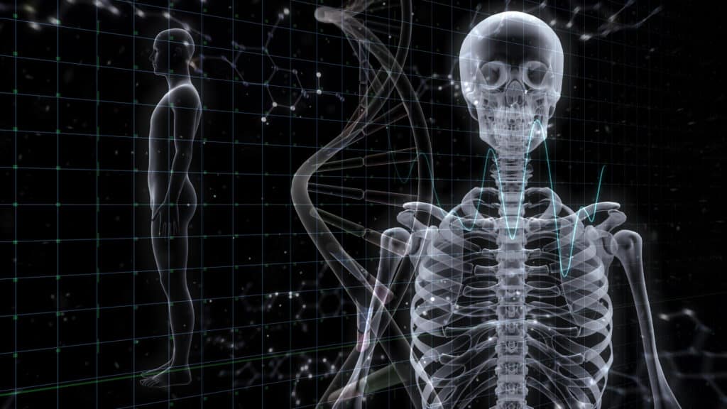 Human Body Skeleton Medical DNA Science Technology 3D illustration