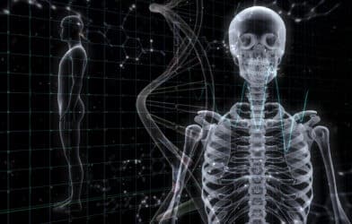 Human Body Skeleton Medical DNA Science Technology 3D illustration