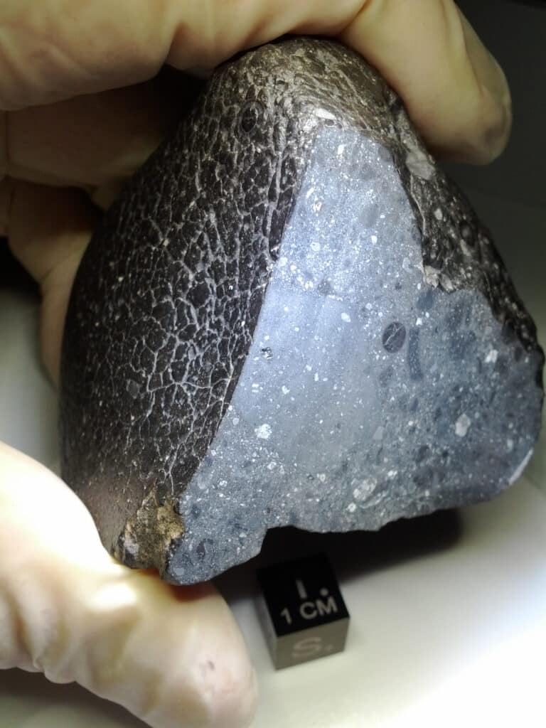 Fragment of the Black Beauty meteorite.