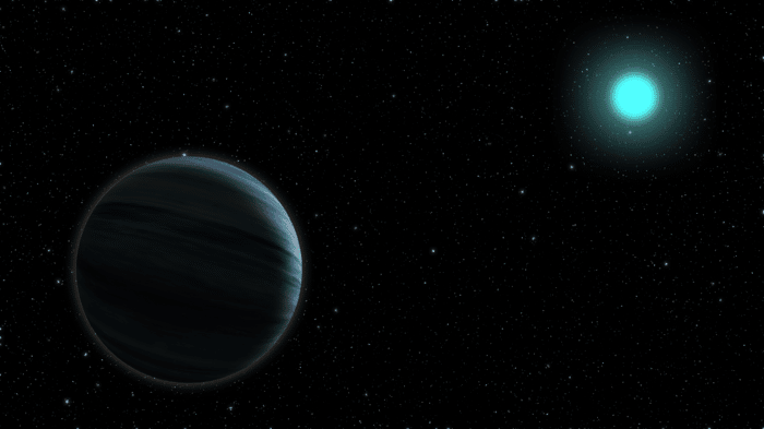 Neptune-sized planet