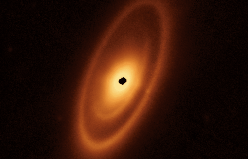 The dusty debris disk surrounding the young star Fomalhaut