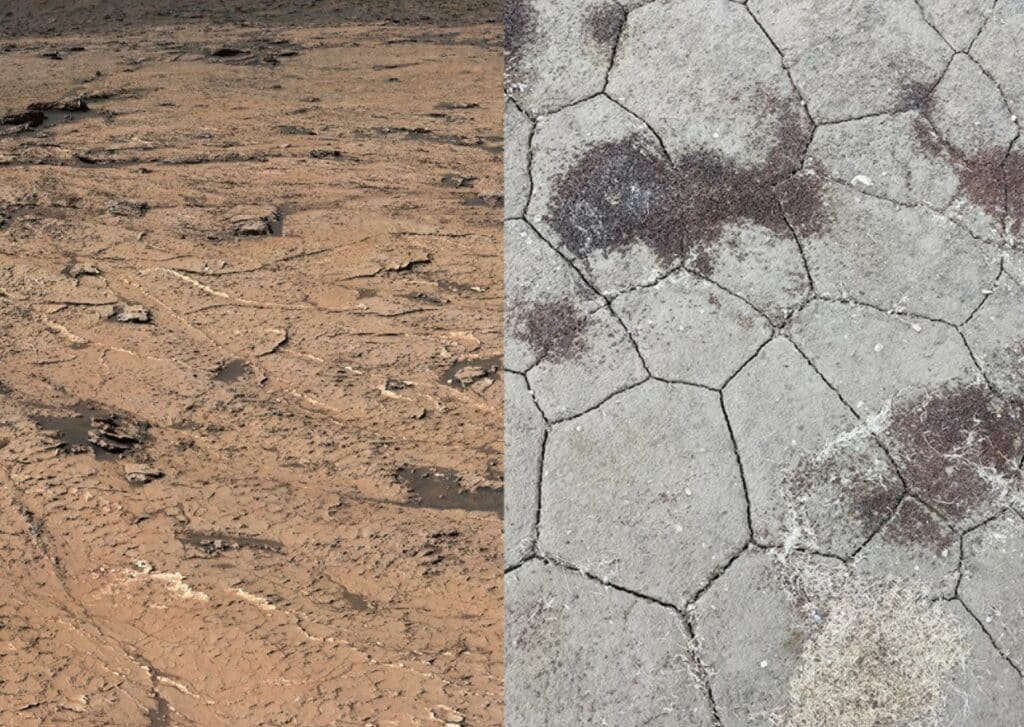 Patterns in mud cracks show that Mars may have had cyclical moisture patterns.