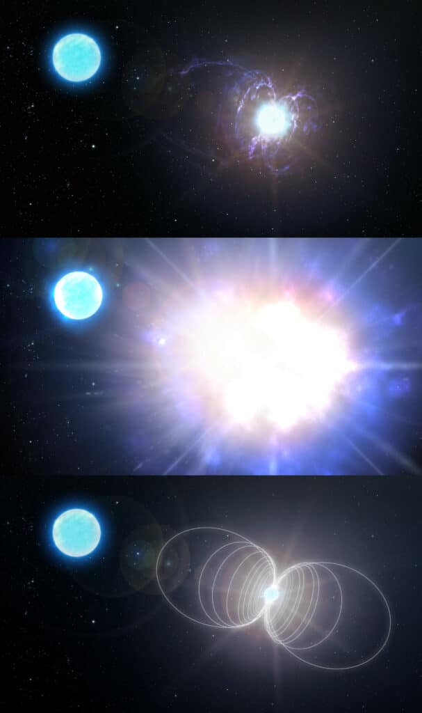 Infographic: Evolution of a massive magnetic helium star into a magnetar.