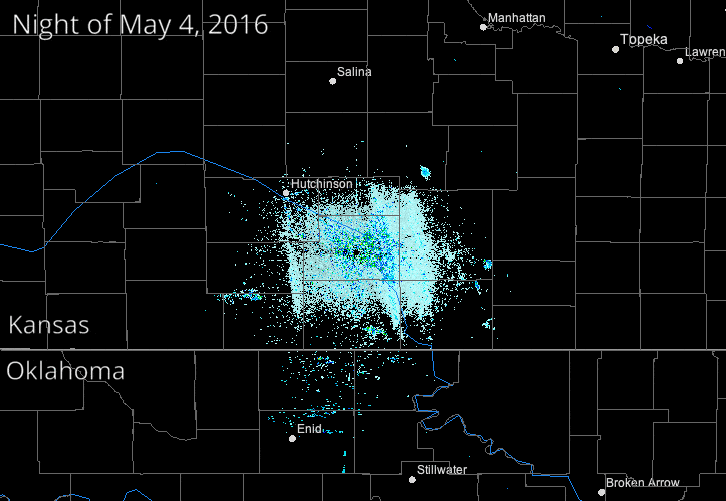 Animation of birds taking off near a NEXRAD Doppler radar station in Wichita, Kansas. 