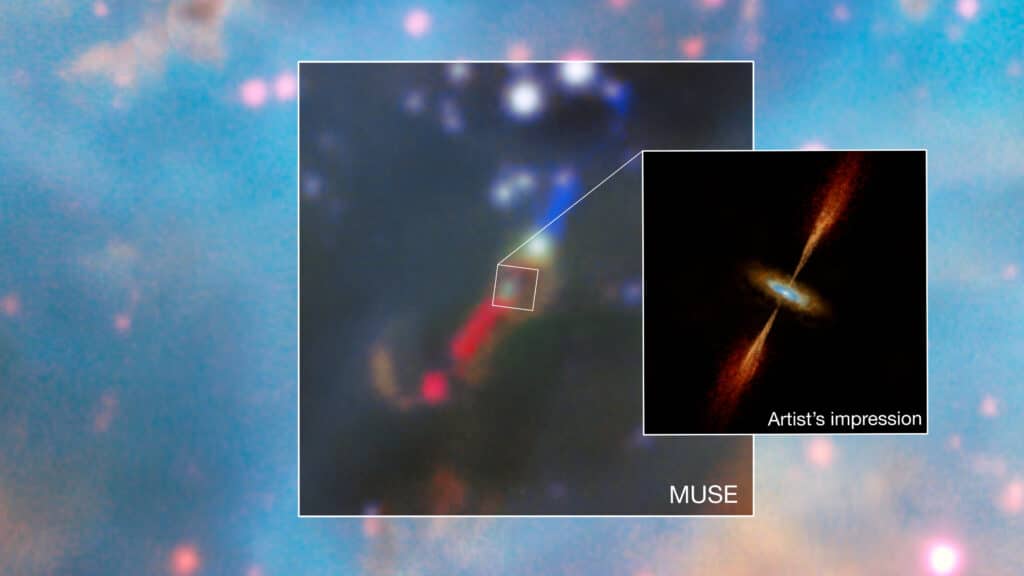 MUSE observations and artist's impression of the HH 1177 young star system
