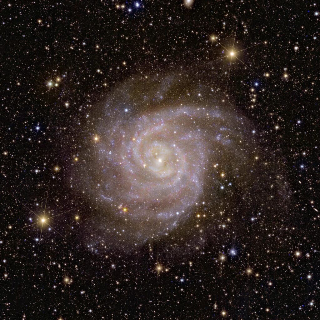 The spiral galaxy IC 342, located about 11 million light-years from Earth, lies behind the crowded plane of the Milky Way: Dust, gas, and stars obscure it from our view