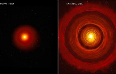 This artist’s concept compares two types of typical, planet-forming disks around newborn, sun-like stars