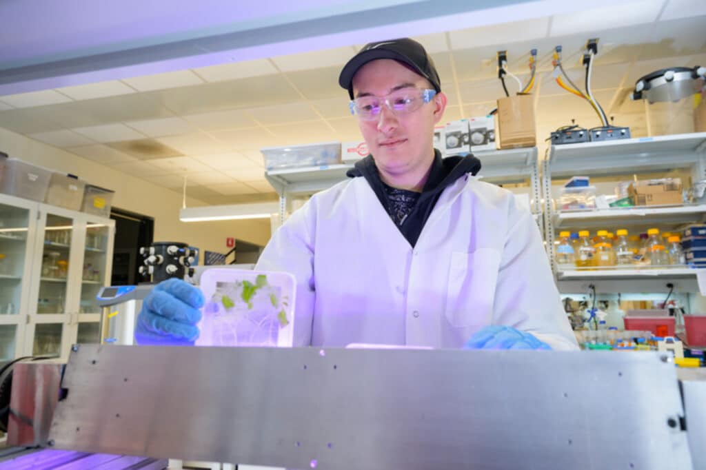 Graduate student Noah Totsline works in the College of Agriculture and Natural Resources lab of Harsh Bais on a NASA-sponsored project looking at how plants grown in space are more prone to infections of Salmonella compared to plants not grown in space or grown under gravity simulations