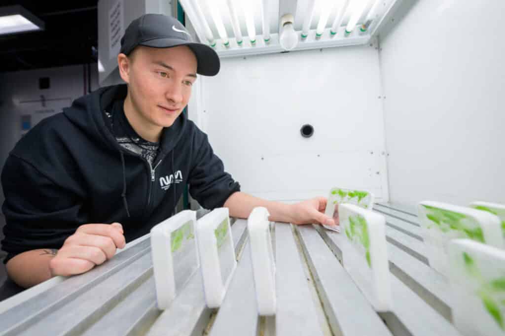 Graduate student Noah Totsline works in the College of Agriculture and Natural Resources lab of Harsh Bais on a NASA-sponsored project looking at how plants grown in space are more prone to infections of Salmonella compared to plants not grown in space or grown under gravity simulations