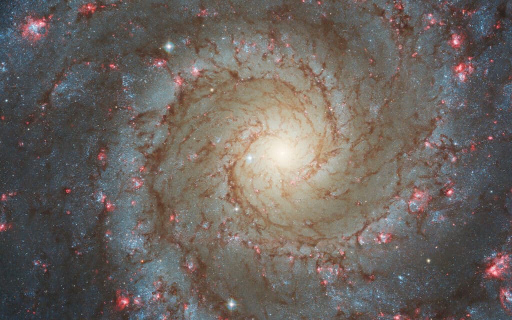 Hubble’s image of NGC 628 shows a densely populated face-on spiral galaxy anchored by its central region, which has a light yellow haze that takes up about a quarter of the view