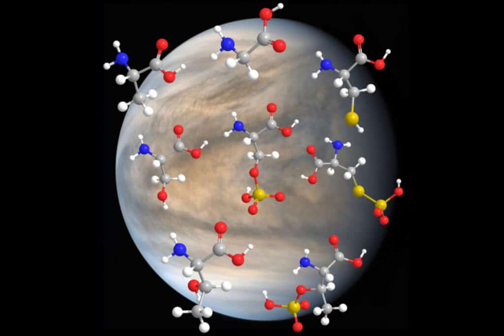 MIT researchers have found that amino acids — major building blocks for life on Earth — are stable in highly concentrated sulfuric acid